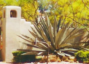BlueAgave