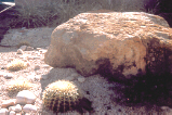 Boulders