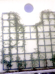TrellisofJasmine