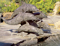 brassdolphins