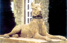 Entry Guard