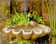 Shell Fountain