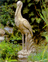 Stork