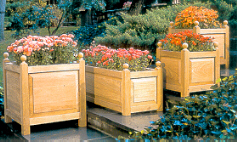 Planters