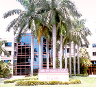 Royal Palms